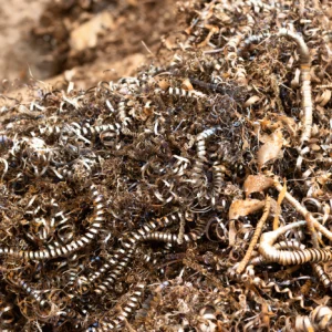 aluminum alloy scrap