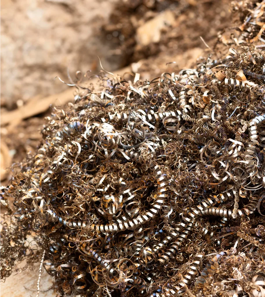 image 1589 converted