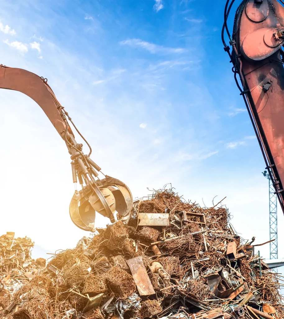 image 1591 converted