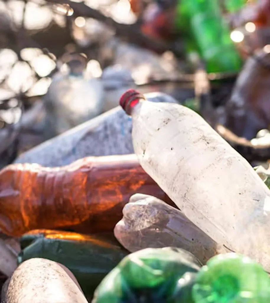 image 1592 converted